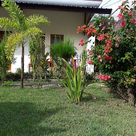 Herry Homestay Kuta  Kültér fotó