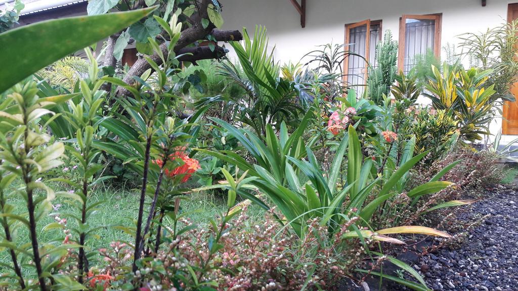 Herry Homestay Kuta  Kültér fotó