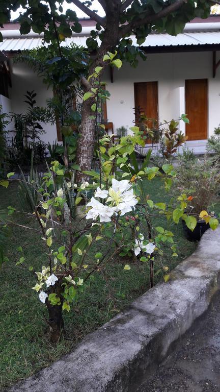 Herry Homestay Kuta  Kültér fotó